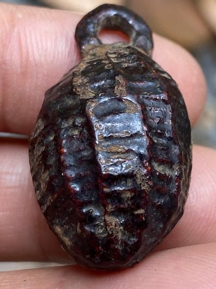 หมากทุยหลวงปู่เอี่ยม รูปที่ 8