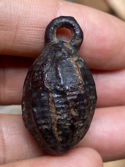 หมากทุยหลวงปู่เอี่ยม รูปที่ 2