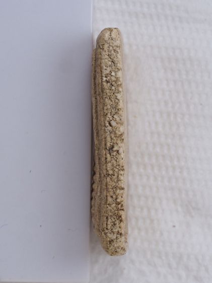 พระสมเด็จ วัดเกศไชโย 29126819 รูปที่ 4