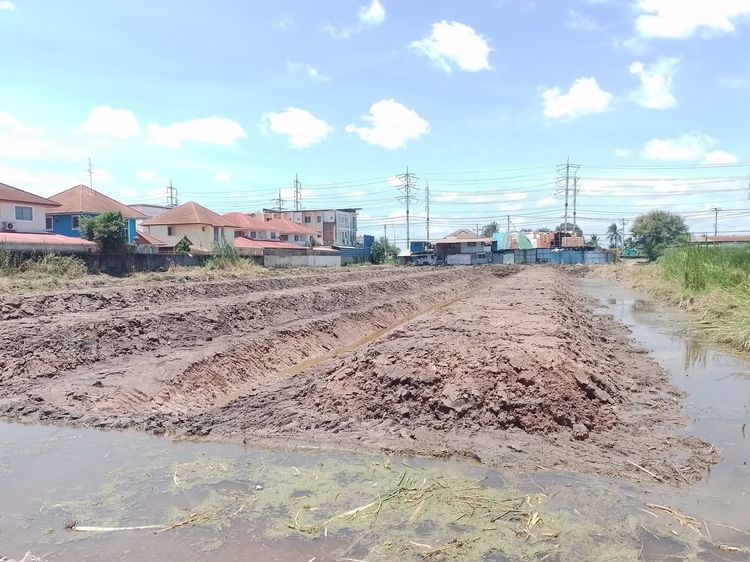 ขายที่ดิน11-3-92ไร่ ติดถนนบางกรวย-ไทรน้อย ราคารวมโอนใกล้ตลาดอิกคิวซัง  ต.บางบัวทอง อ.บางบัวทอง จ.นนทบุรี รูปที่ 4