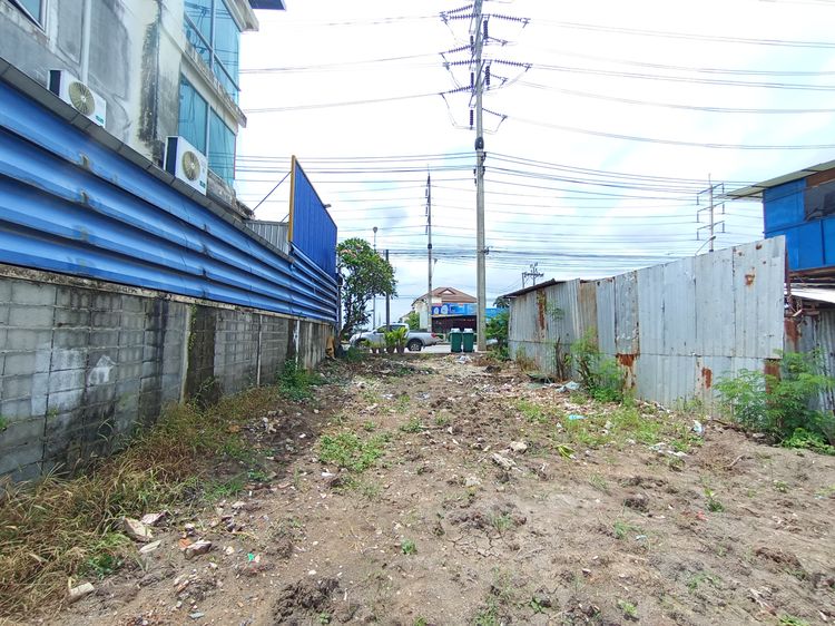 ขายที่ดิน11-3-92ไร่ ติดถนนบางกรวย-ไทรน้อย ราคารวมโอนใกล้ตลาดอิกคิวซัง  ต.บางบัวทอง อ.บางบัวทอง จ.นนทบุรี รูปที่ 2