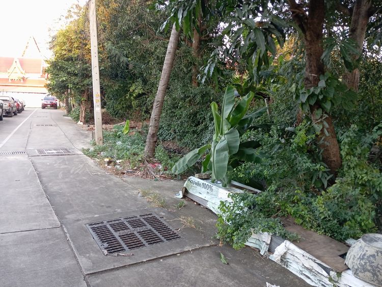 ขายที่ดินแถววัดสวนแก้ว690ตรว.เลยวัดมา500ม. ผังเมืองสีเหลือง รูปที่ 3