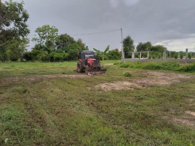 ใช่ ที่ดินแบ่งขายลำพูน 1 งาน 2 งาน ตรว.6000 บ้านศรีดอนชัย ม.8 ต.บ้านธิ อ.บ้านธิ รูปที่ 4