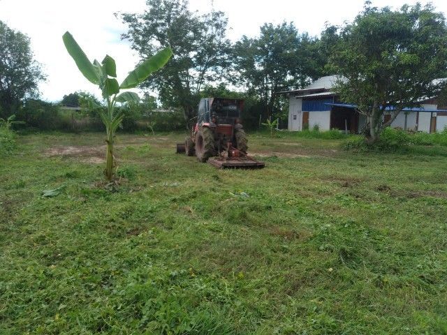 ใช่ ที่ดินแบ่งขายลำพูน 1 งาน 2 งาน ตรว.6000 บ้านศรีดอนชัย ม.8 ต.บ้านธิ อ.บ้านธิ รูปที่ 2