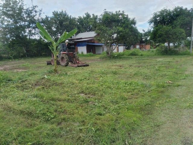 ใช่ ที่ดินแบ่งขายลำพูน 1 งาน 2 งาน ตรว.6000 บ้านศรีดอนชัย ม.8 ต.บ้านธิ อ.บ้านธิ รูปที่ 3