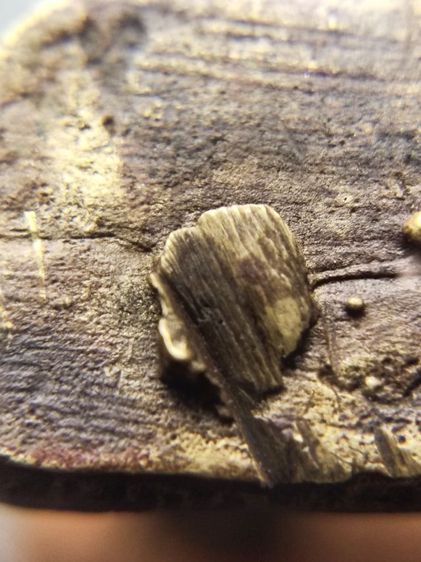 รูปหล่อโบราณ หลวงพ่อทบ วัดชนแดน จังหวัดเพชรบูรณ์  รูปที่ 4