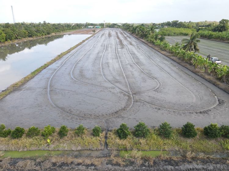 ที่ดิน รูปที่ 3