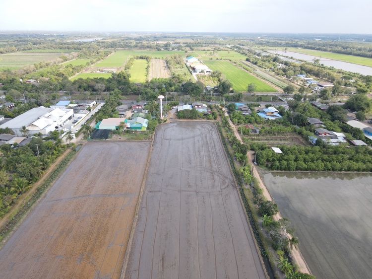 ที่ดิน รูปที่ 2