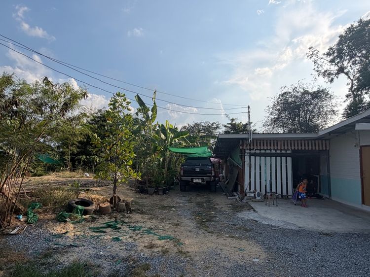 ขายที่ดิน 2งานกว่าๆ รูปที่ 2