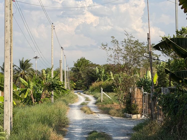 ขายที่ดิน 2งานกว่าๆ รูปที่ 4