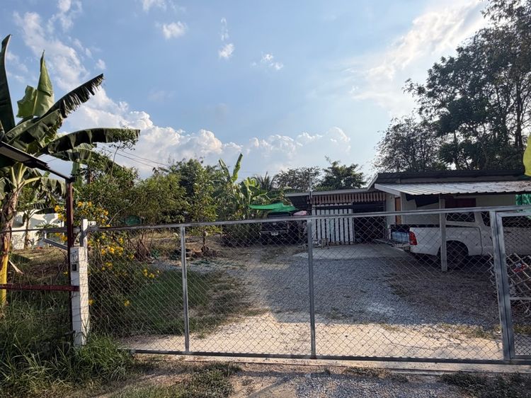 ขายที่ดิน 2งานกว่าๆ รูปที่ 3