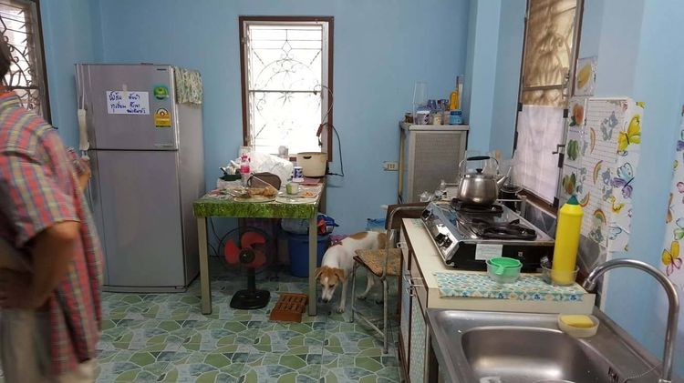 อื่นๆ บ้านเดี่ยวชั้นเดียว 53 ตรว. เจ้าของขายเอง อยู่ใน ม.เสรี-อ่อนนุช ซ.70 รูปที่ 4