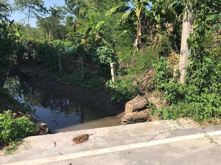 ใช่ 138 ตร.ว. แยกอุโมงค์ดอนแก้ว แม่ริม รูปที่ 2