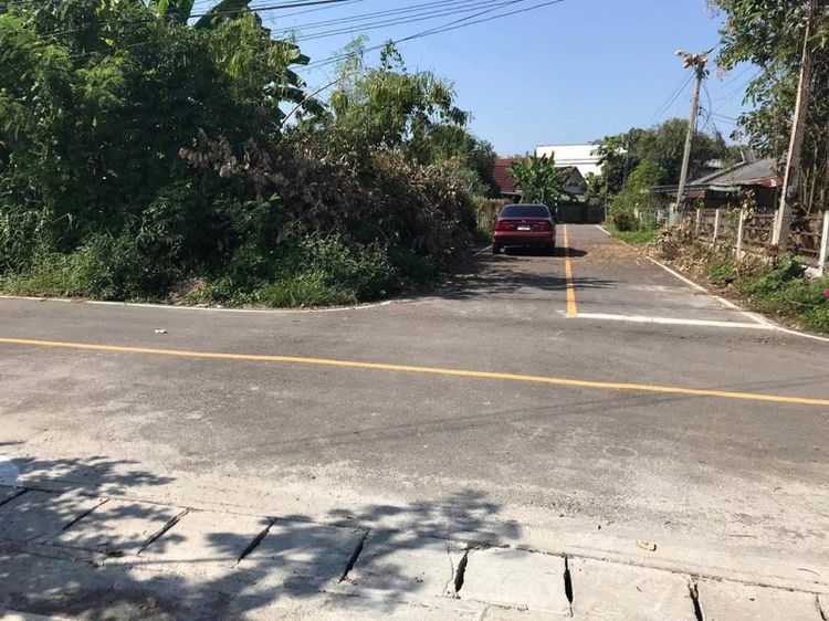 138 ตร.ว. แยกอุโมงค์ดอนแก้ว แม่ริม