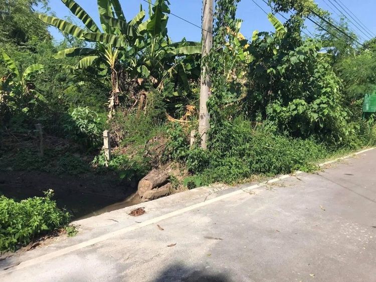 ใช่ 138 ตร.ว. แยกอุโมงค์ดอนแก้ว แม่ริม รูปที่ 3