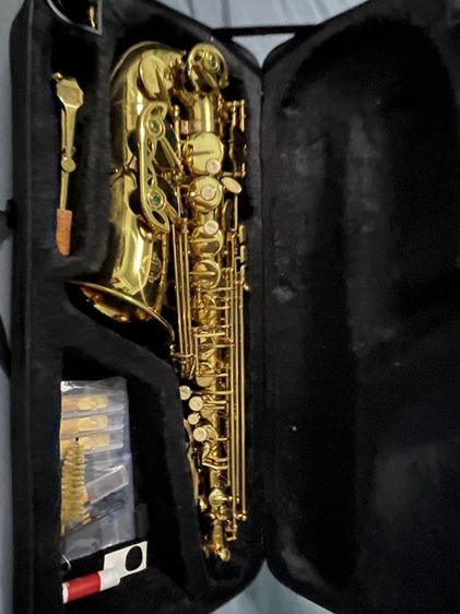 Saxophone รูปที่ 2