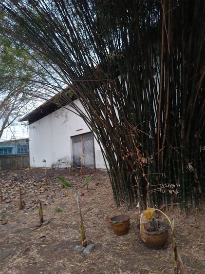 โกดังพร้อมที่ดิน เหมาะสำหรับทำธุรกิจออนไลน์หรือคลังสินค้า ทำเลใช้งานจริง เจโกดังพร้อมที่ดิน เหมาะทำธุรกิจออนไลน์หรือคลังสินค้า เจ้าของขายเอง รูปที่ 4