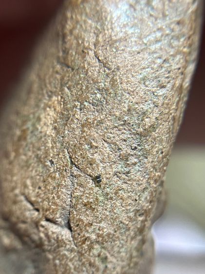 พระเลี่ยงเนื้อดิน ลําพูน รูปที่ 14