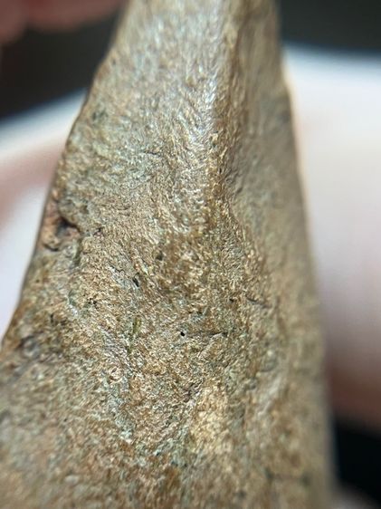 พระเลี่ยงเนื้อดิน ลําพูน รูปที่ 10