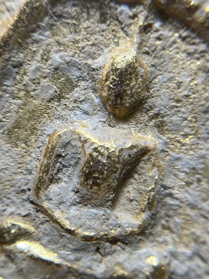 พระสมเด็จวัดระฆังพิมพ์ใหญ่หลังครุฑ รูปที่ 5