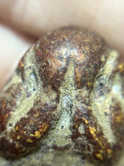 พระปิดตาหลังแบบหลวงพ่อแก้วเนื้อว่าน รูปที่ 6