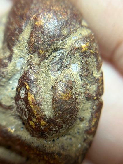 พระปิดตาหลังแบบหลวงพ่อแก้วเนื้อว่าน รูปที่ 8