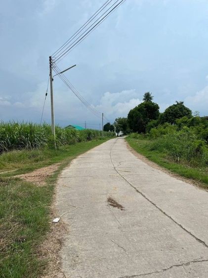 1ไร่ขาย1ล้านรวมโอน ต.วังน้ำเขียว อ.กำแพงแสน
ใกล้มหาวิทยาลัยเกษตรศาสตร์ ใกล้โรงพยาบาลกำแพงแสน ติดถนนสาธารณะ เหมาะปลุกบ้านหรือทำรีสอรท รูปที่ 2