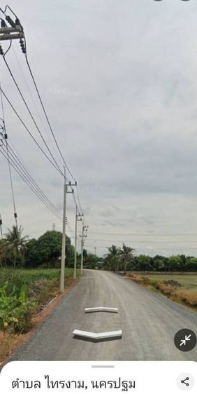 132ไร่ ขาย60ล้าน มีมะพร้าว6000ต้นมะม่วง3000ต้น พร้อมเก็บผลผลิต มีบ้านนกนางแอ่น1หลังบ่อปลา5ไร่ที่ว่างเปล่า10ไร่ ต.นิลเพชร