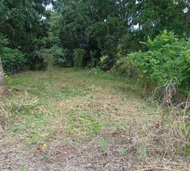 104ตรว.ขาย1.5ล้าน ถมแล้วหน้ากว้างติดถนน14ม.ใกล้วัดเสนีวงศ์ ต.หนองเพรางาย(งดนายหน้า) 

 รูปที่ 2