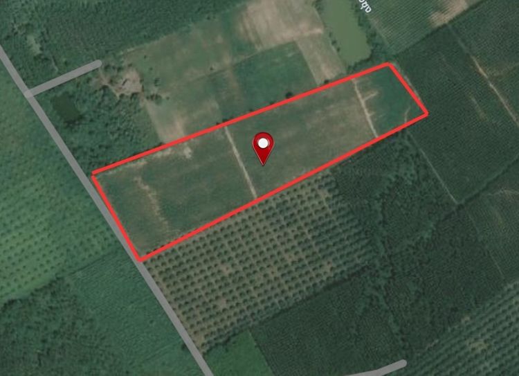 ขายที่ดิน 2 แปลง ชุมชนชนบทสงบ อำเภอบ่อทอง จ.ชลบุรี