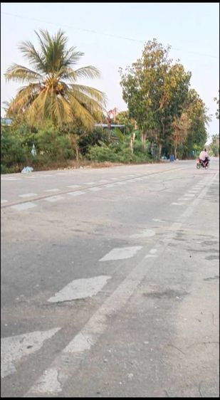 4ไร่ขาย8ล้านรวมโอน ติดถนน2ด้าน หน้าถนน2เลน ข้างถนนลุกรัง แถวคลองสอง ต.ทวีวัฒนา 
 รูปที่ 2