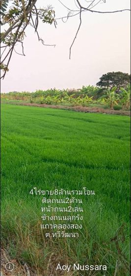 4ไร่ขาย8ล้านรวมโอน ติดถนน2ด้าน หน้าถนน2เลน ข้างถนนลุกรัง แถวคลองสอง ต.ทวีวัฒนา 
 รูปที่ 3