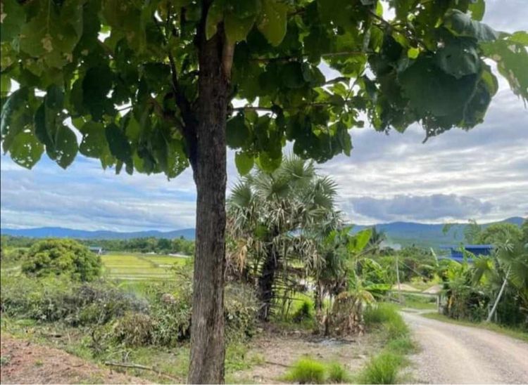 ไม่ใช่ ที่ดิน ทำเลสวย รูปที่ 4