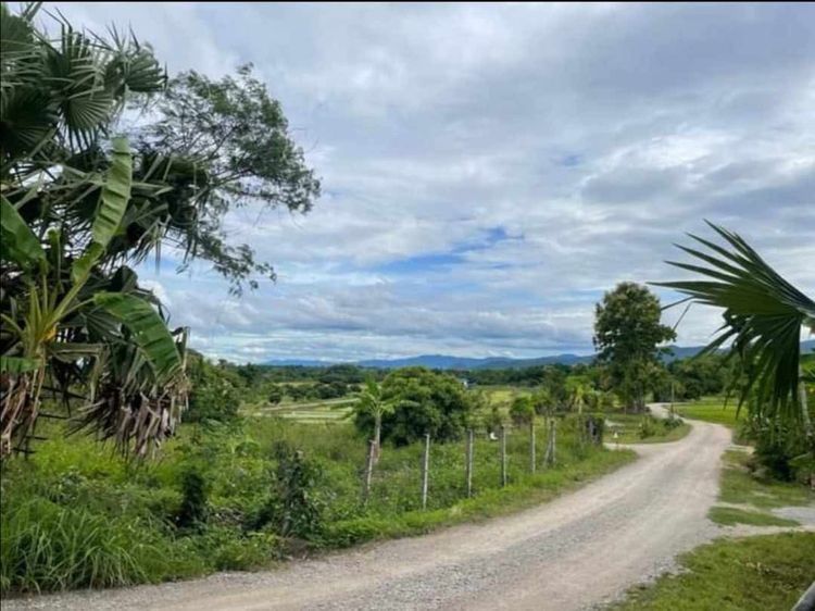 ไม่ใช่ ที่ดิน ทำเลสวย รูปที่ 3