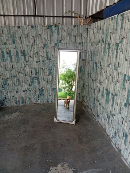 ของใช้ส่วนตัว กระจกแต่งตัว