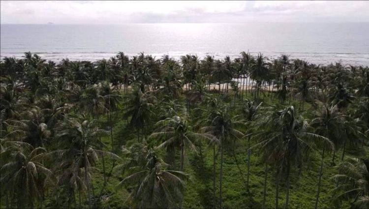 ใช่ ขายที่ดิน หาดคลองโขง เกาะลันตา จังหวัดกระบี่ รูปที่ 3