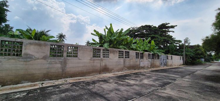 ขายที่ดินโซน บางแค