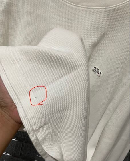 เสื้อ Lacoste รูปที่ 6