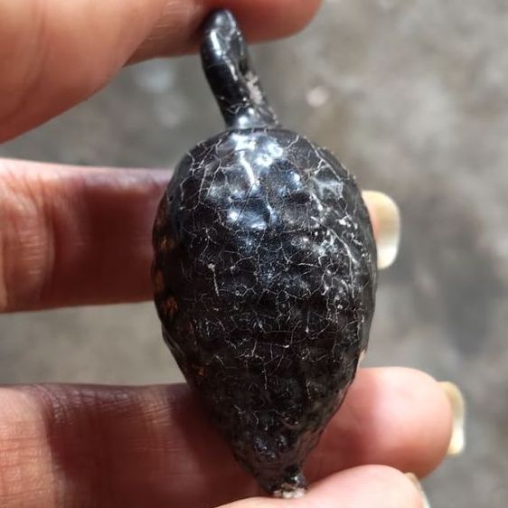 เครื่องรางไม่ทราบที่ รูปที่ 3