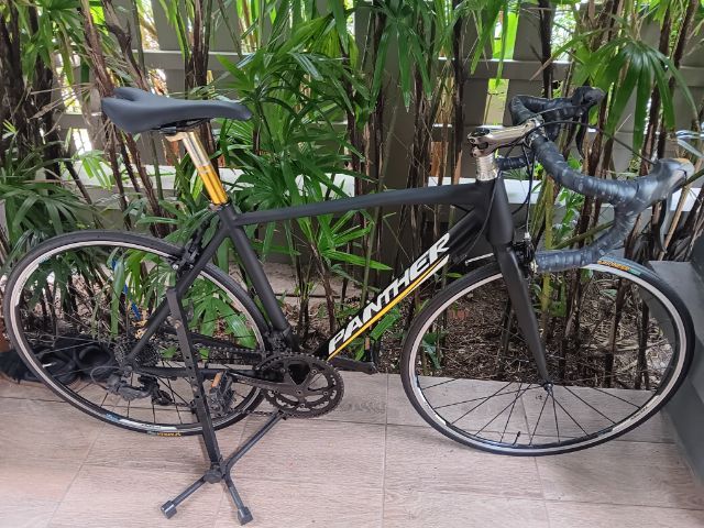 เสือหมอบpanther  move รูปที่ 8