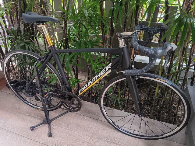 เสือหมอบpanther  move รูปที่ 6