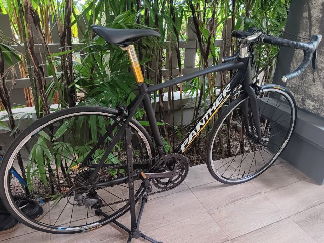 เสือหมอบpanther  move รูปที่ 4