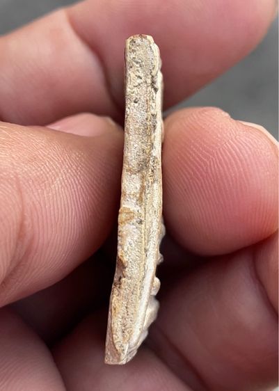 บางขุนพรหม สังฆาฏิ บ้านๆสวยๆ ไม่ผ่านการใช้ รูปที่ 5