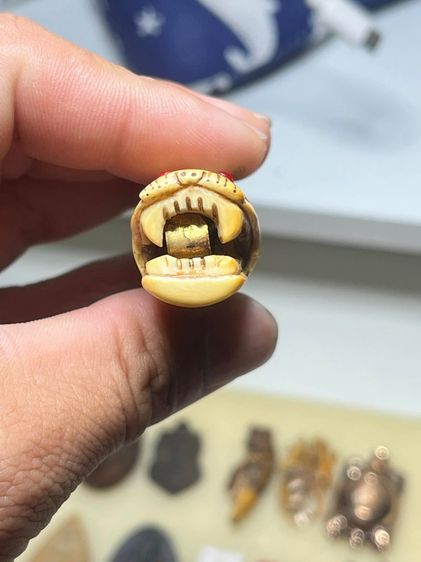 ปลัดขิกหัวชะมด รูปที่ 4