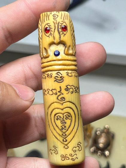 ปลัดขิกหัวชะมด