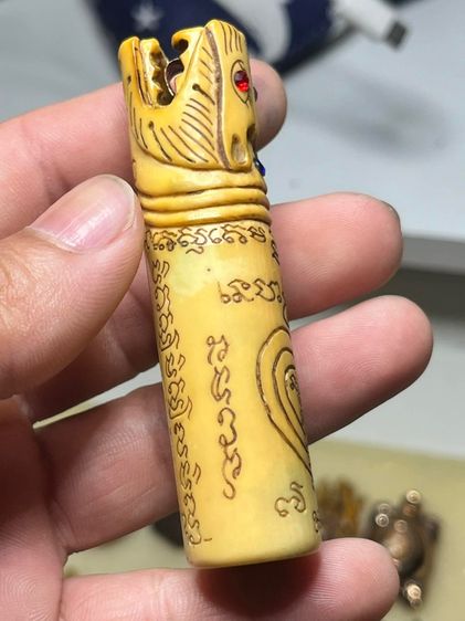 ปลัดขิกหัวชะมด รูปที่ 6