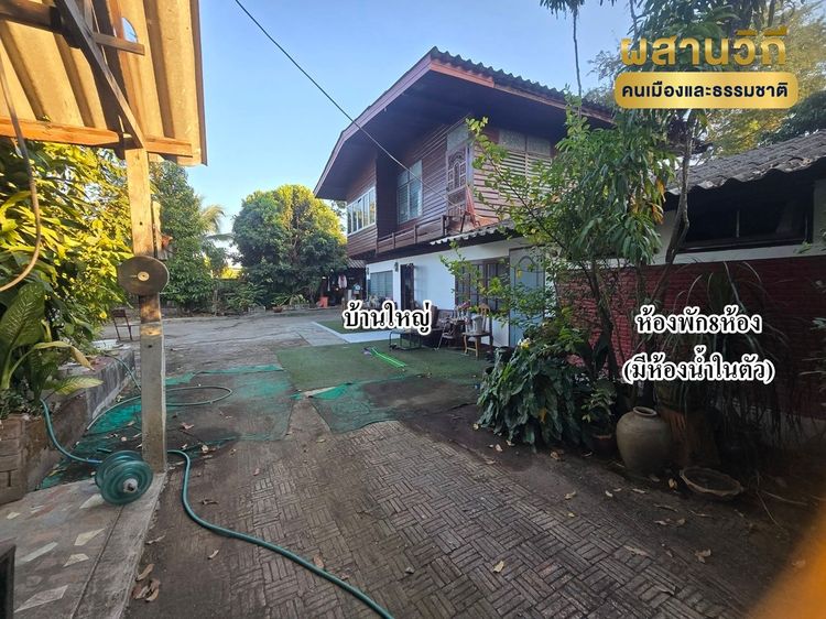ที่ดินพร้อมบ้านเชียงราย บ้านพร้อมที่ดิน ขายที่ดินพร้อมห้องพัก ขายที่ดินเชียงราย ขายบ้านเชียงราย 1.43ไร่