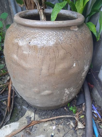 ตุ่ม รูปที่ 2