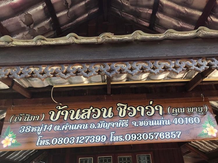 ชิวาว่ามินิจิ๋ว รูปที่ 5