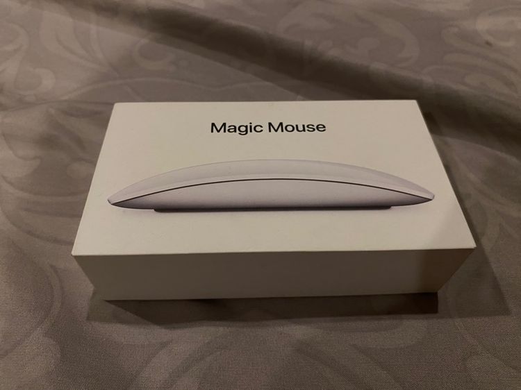 Magic mouse 2